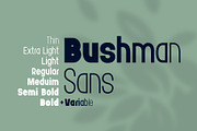 Bushman font set, a Sans Serif Font by Gleb Guralnyk (Thumbnail 4 of 8)