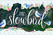 The Slowbird - Typeface, a Script Font by Layerform (Thumbnail 1 of 6)
