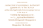 Yasiroh - Modern Serif Font, a Serif Font by Sronstudio (Thumbnail 19 of 19)