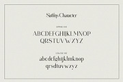 Sattins Ligature Serif Typeface, a Serif Font by Humaira_std (Thumbnail 7 of 13)