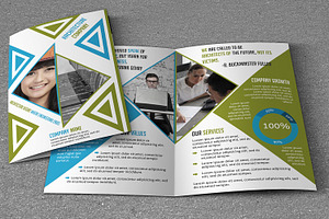 Business Brochure V789