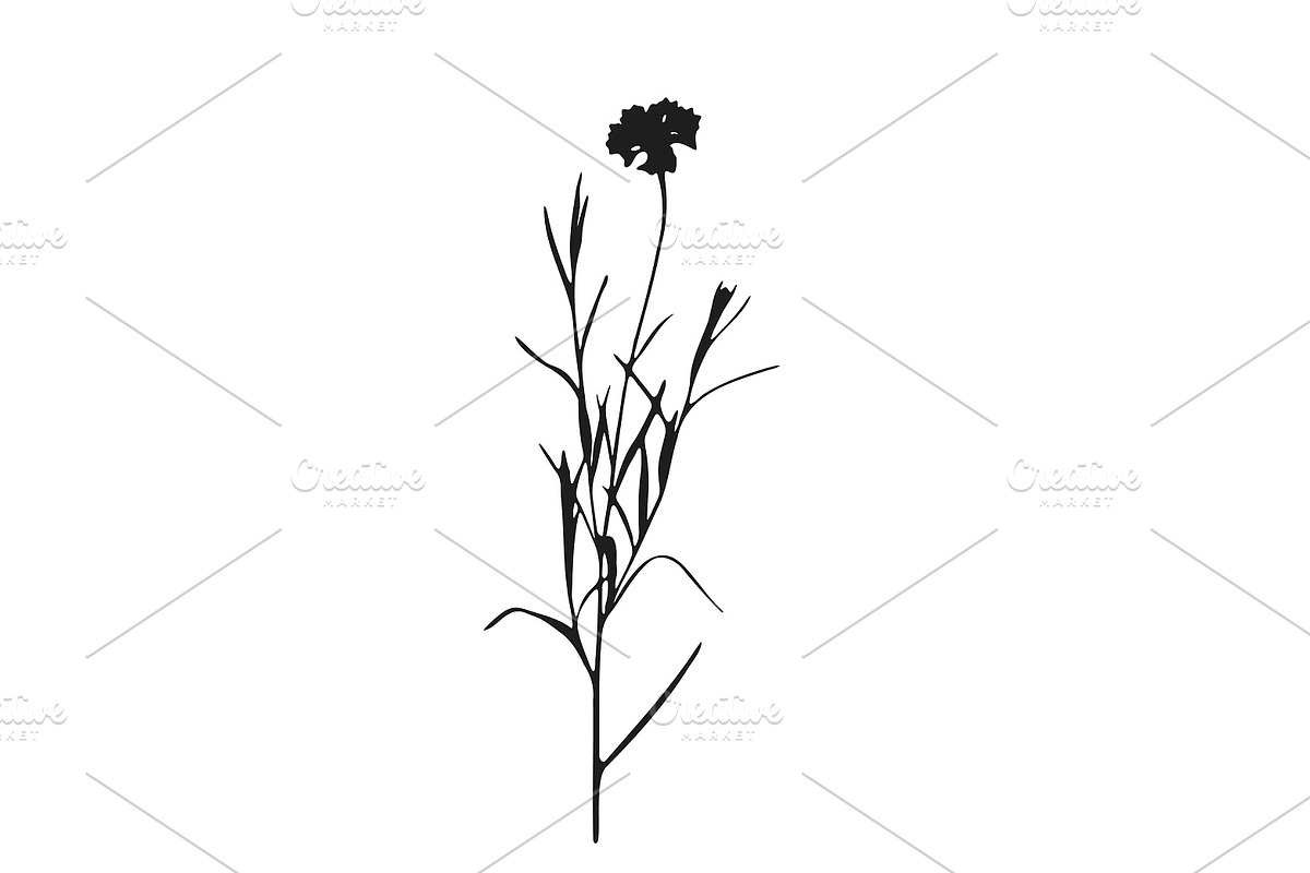 Botanical bundle - svg, png, a Decorative Illustration by Watercolor_Vector Graphic (Photo 26 of 26)