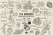 Berries line art + Procreate, a Food Illustration by Skliarova (Thumbnail 1 of 3)