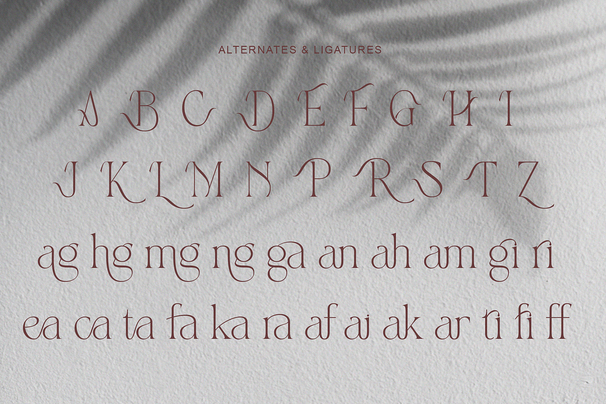 gartis, a Serif Font by Muflieart (Photo 9 of 10)