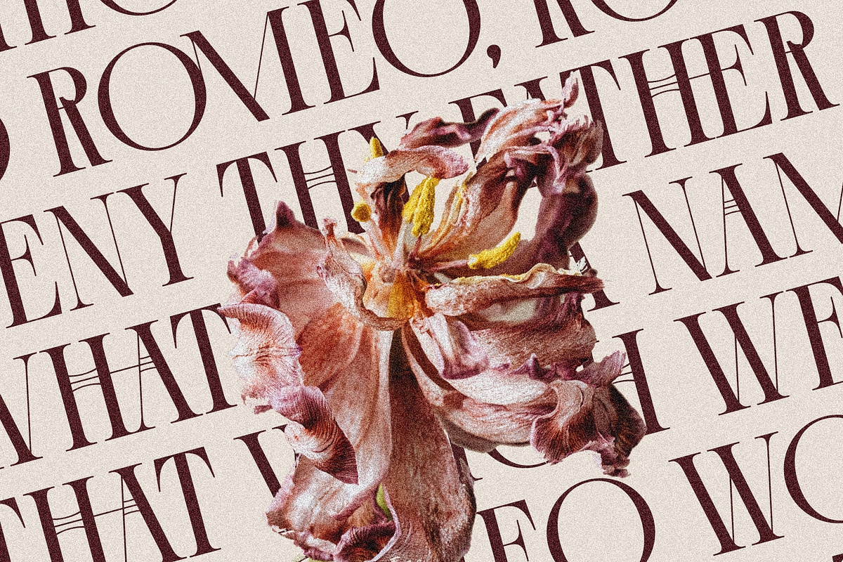 Cosmic Solace - Ligature Typeface, a Serif Font by SilverStag Type Foundry (Photo 8 of 30)