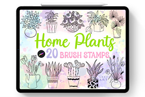 Home Plants Brush Stamps Procreate