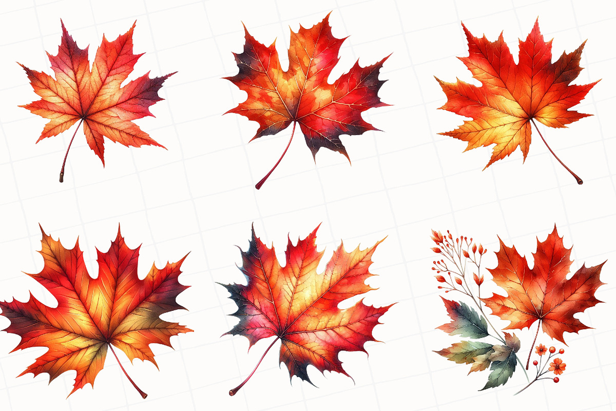 Watercolor Autumn Leaf Clipart, an Illustration by OK Design (Photo 4 of 5)