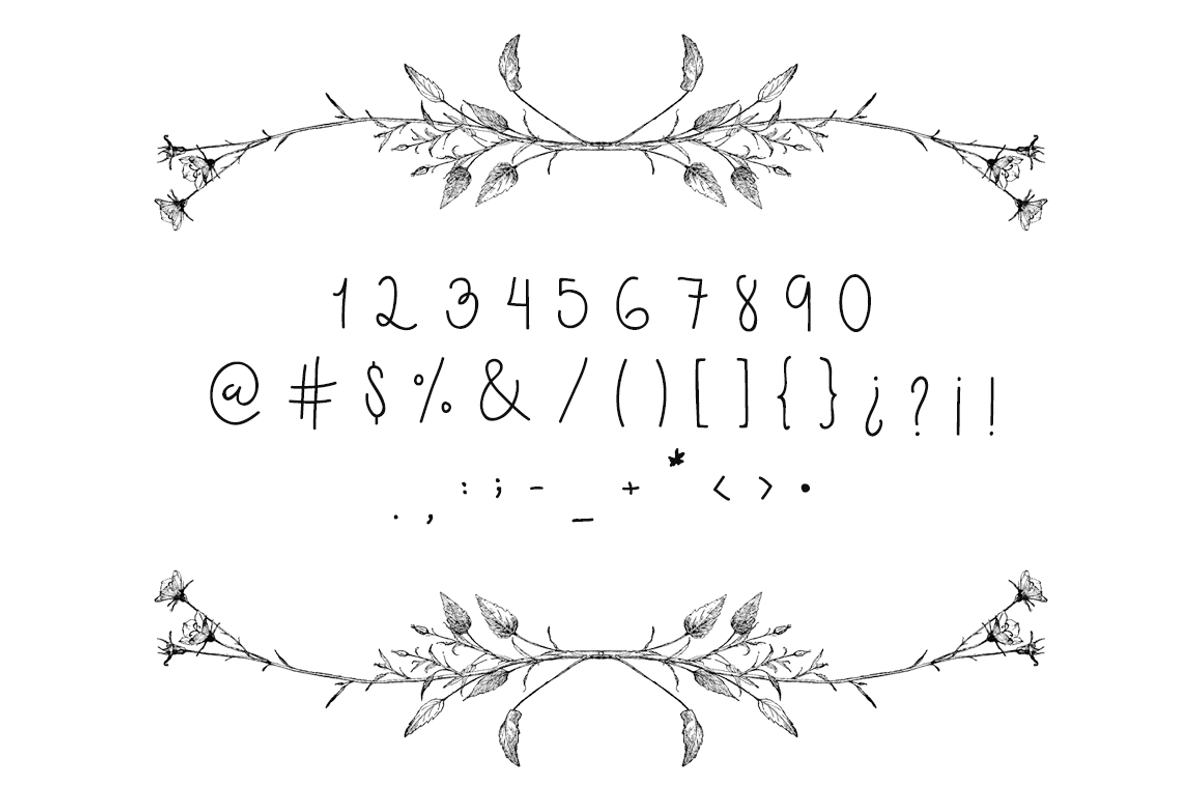 Holga Script preview 3