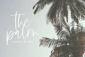 Moonstone Handwritten Script Font