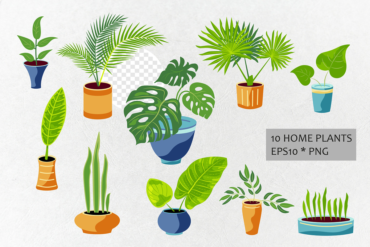 Vector tropical leaves, an Object Graphic by VaraNa Art (Photo 8 of 13)