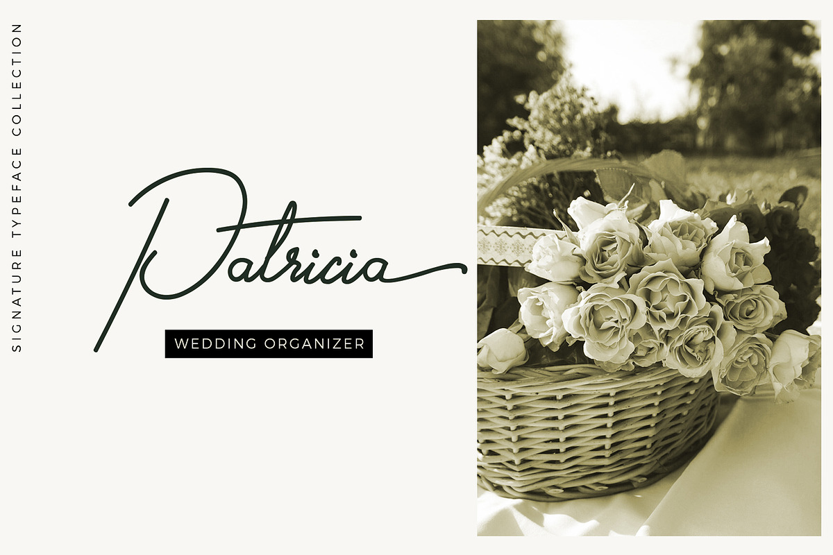 Gilberta - Signature Font preview 5