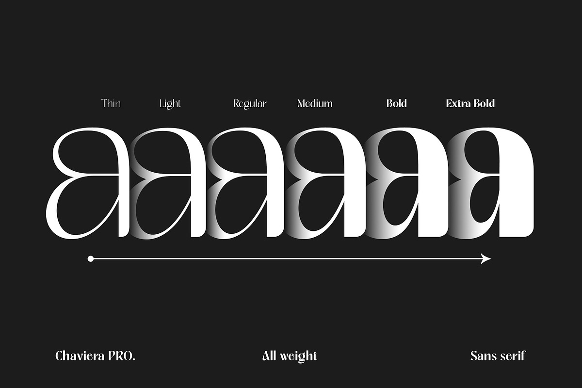 Chaviera Pro Family, a Sans Serif Font by INKSUN™ (Photo 3 of 12)