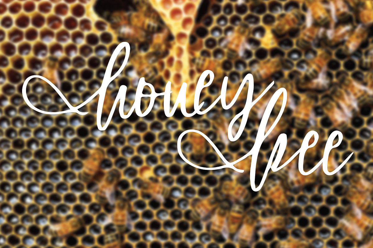 honey font preview 3