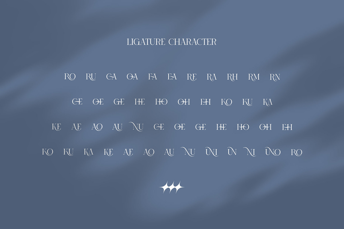 RONICA Modern Display Serif, a Serif Font by Alfinart (Photo 5 of 10)