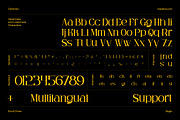 Bagin Font | Modern Editorial Serif, a Serif Font by Koplexs Studio (Thumbnail 12 of 12)