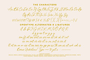 Beach Bound - A Fresh Pencil Script, a Script Font by Nicky Laatz (Thumbnail 25 of 26)
