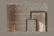 Butterfly Friends, a Script Font by operatype.co (Thumbnail 13 of 15)