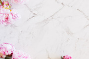 Pink peony stock photo bundle containing pink, peony, and fowers, a Business Photo by Savvy Stock Shop (Thumbnail 11 of 16)
