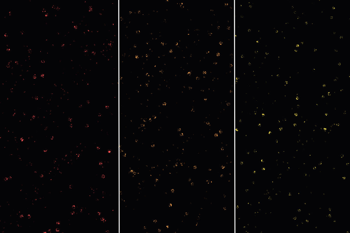 10 Glitter shiny overlays, a Texture Graphic by Kat Anti (Photo 6 of 7)