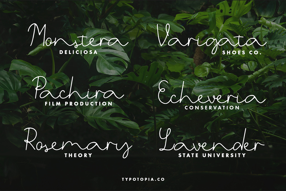 Belgia Handwritten Font preview 3