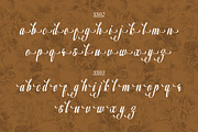 Shiluna, a Script Font by Annivers Type (Thumbnail 5 of 6)