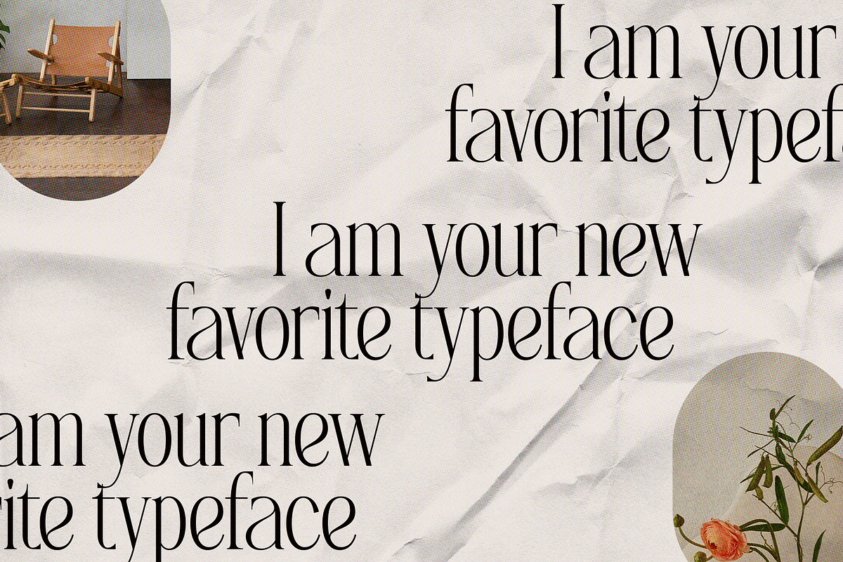 SLTF Rogue Rebellion - Ligature Font, a Serif Font by SilverStag Type Foundry (Photo 14 of 30)
