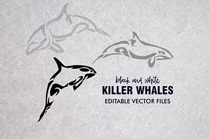 20 Whale Tribal Designs Bundle