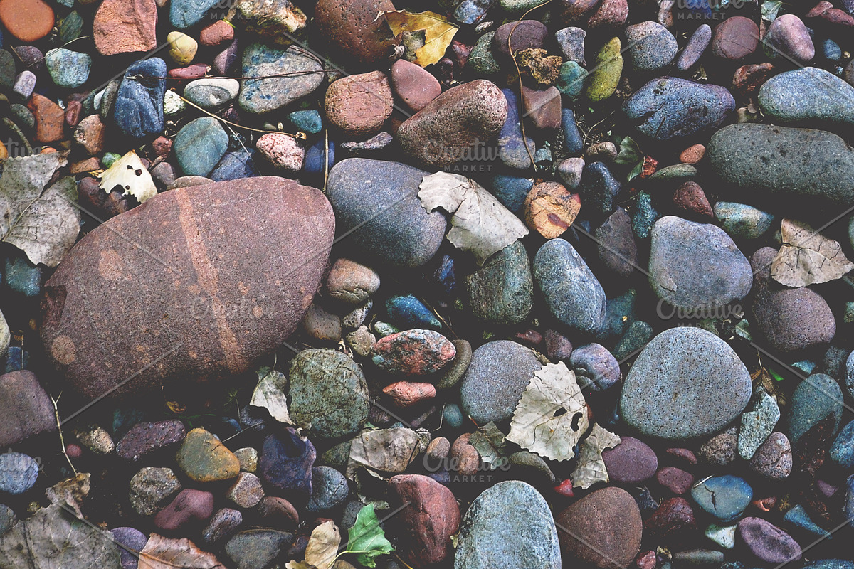 NATURAL MATTE, a Nature Photo by KABSPHOTOGRAPHY (Photo 7 of 11)