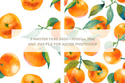 Watercolor Mandarin Fruits Vol. 1, a Food Illustration by Olga Begak Art & Design (Thumbnail 3 of 10)