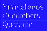 Aeglar Display, a Serif Font by Portion.Labs (Thumbnail 8 of 12)