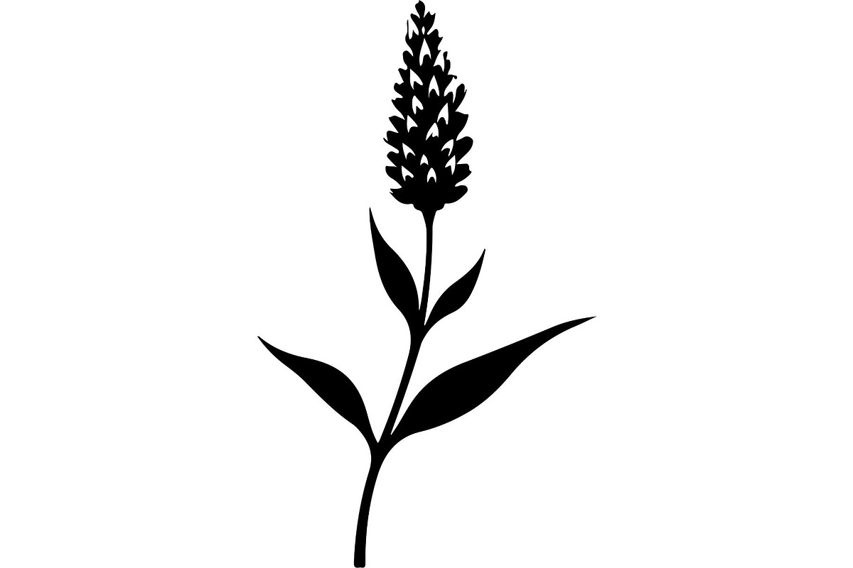 Decorative Tribal Feather Vector, an Object Graphic by Designer_Momina (Photo 13 of 18)
