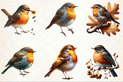 Autumn American Robin Bird Clipart, a Seasonal Illustration by Rose Art (Thumbnail 3 of 7)