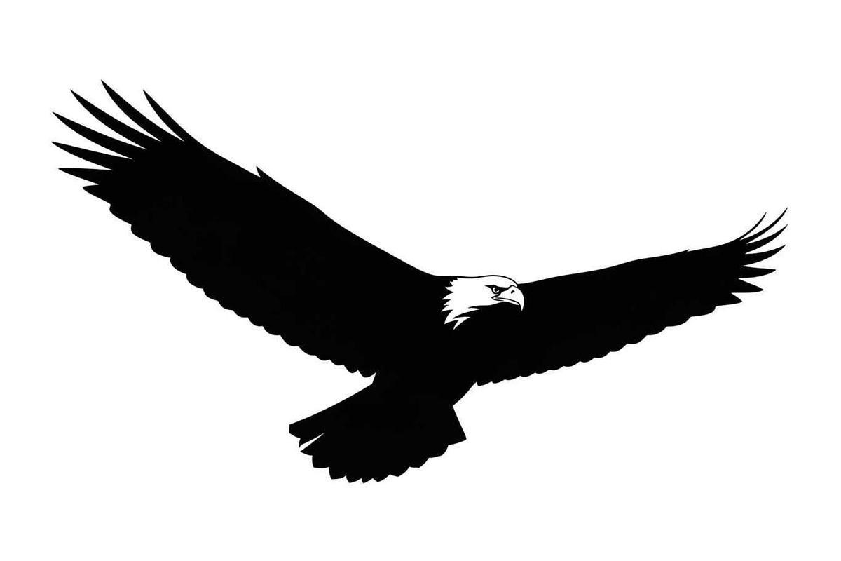 50 Flying Eagle Silhouette Vector Bu, an Illustration by Designs_River (Photo 12 of 51)