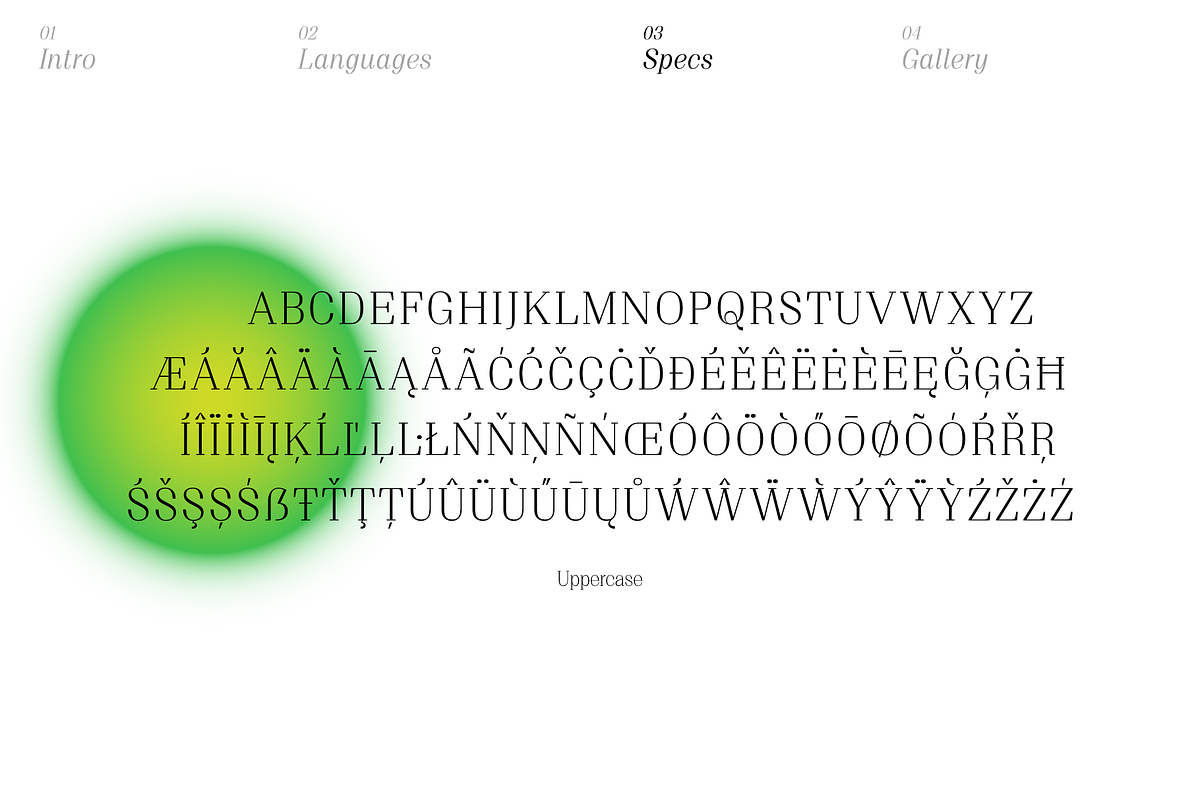 Proto Serif Regular, a Serif Font by Bukva™ Type Foundry (Photo 5 of 13)
