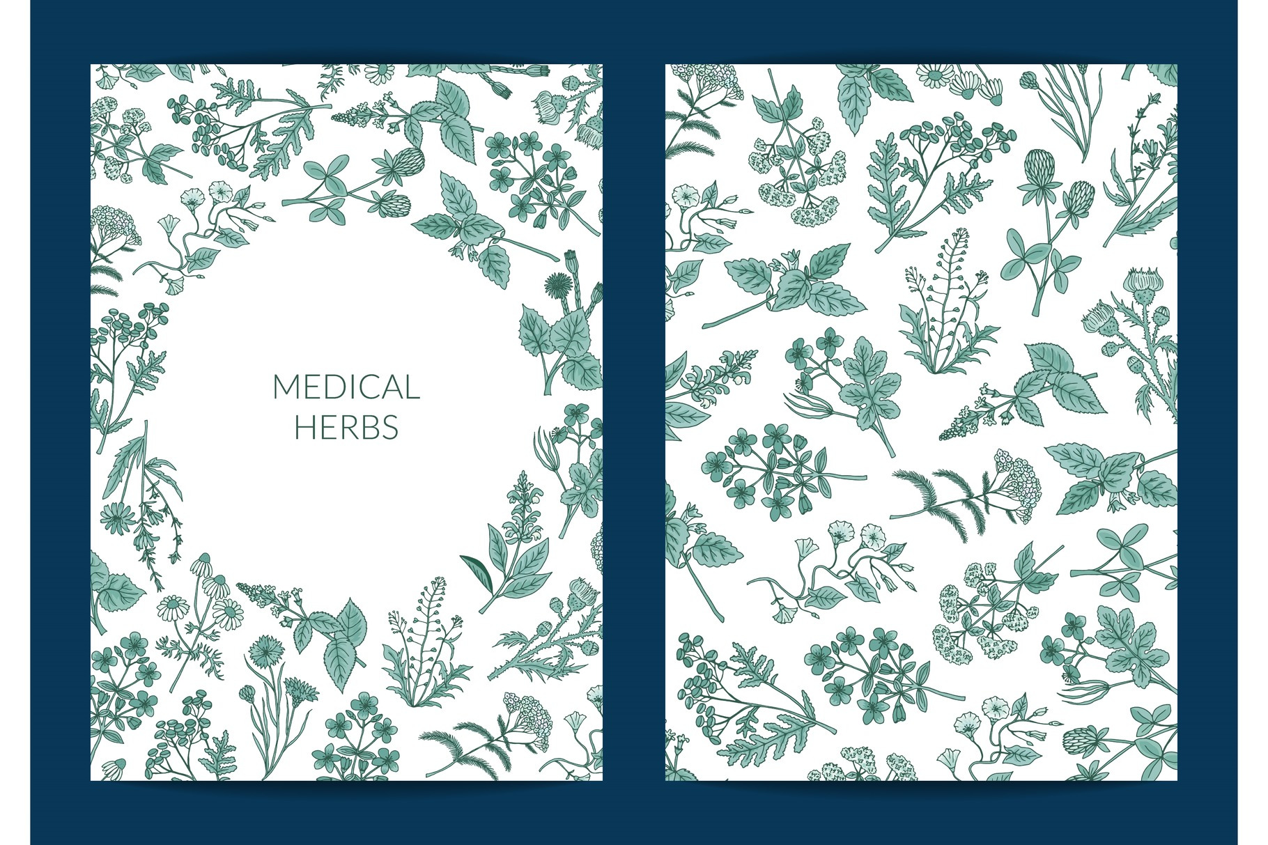 Vector hand drawn medical herbs card, a Background Graphic by Onyx