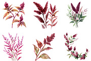 Amaranth Flower Watercolor Png, an Illustration by DreamArtGraphic (Thumbnail 3 of 4)