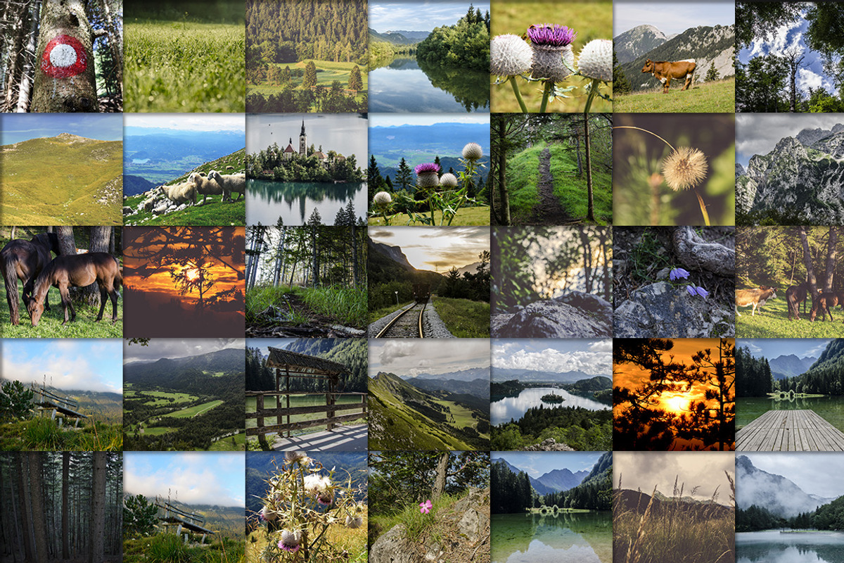 60 Hi-Res Nature Photographs 30% OFF, a Templates & Theme by PremiumCoding (Photo 5 of 5)