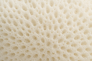 Close-up texture of beige sponge wit, a Photo by Dvoevnore photos
