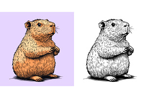 Capybara Cartoon Character Coloring, an Animal Illustration by LadadikArt