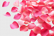 Flower petals transparent png, a Nature Photo by Shahjahangdb1 (Thumbnail 5 of 10)