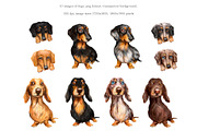 Dachshund dog watercolor clipart., an Illustration by SavinV (Thumbnail 2 of 7)