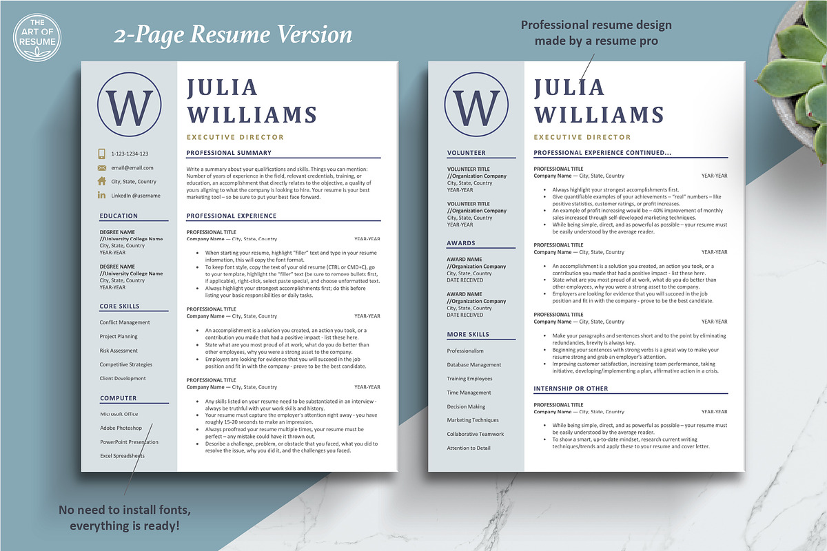Executive Resume CV Template, a Resume Template by The Art of Resume (Photo 4 of 8)