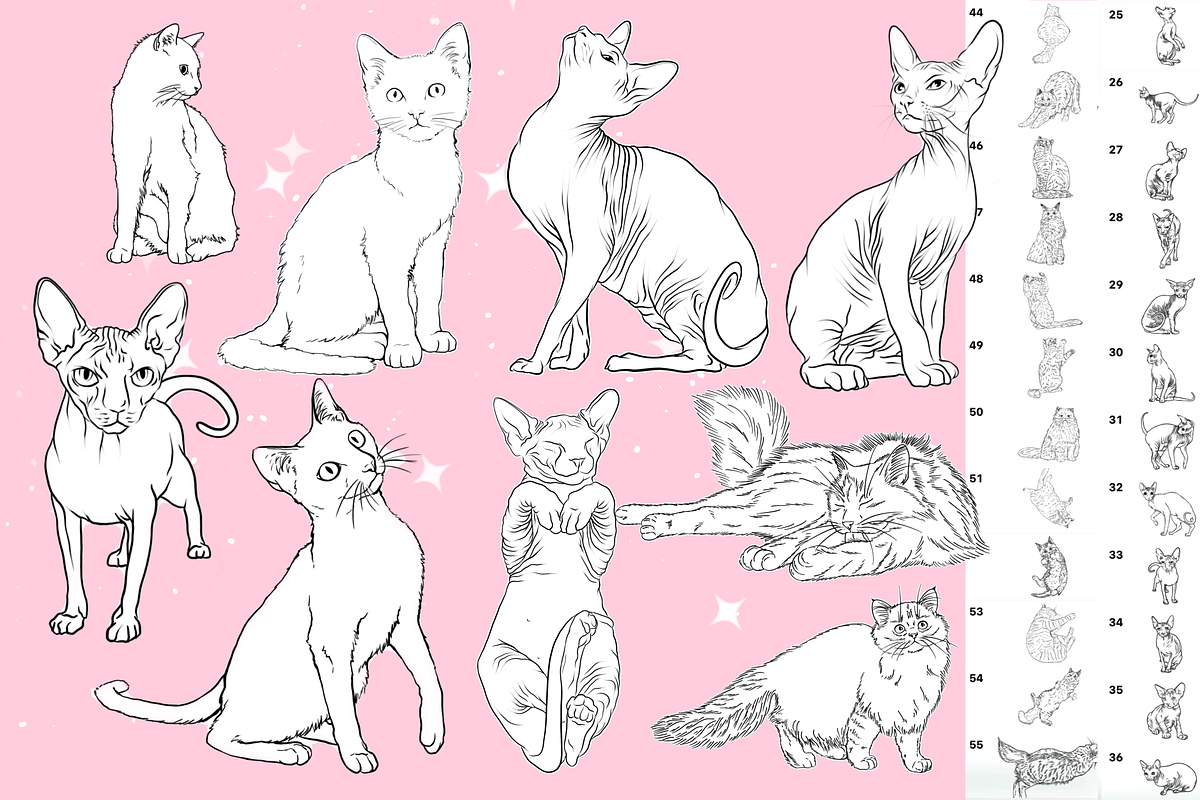 Procreate Cat animal brushes, a Brush Add-On by Revabrush