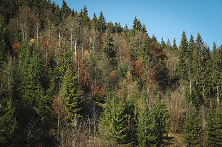 Photo of beautiful Carpathian views in Ukraine, a Nature Photo by AtlasStudio PRO