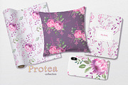 Protea collection, an Illustration by oKOLOstyle (Thumbnail 6 of 6)