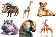 Safari Animals Watercolor Clipart, an Illustration by Pixels.Craft (Thumbnail 2 of 7)