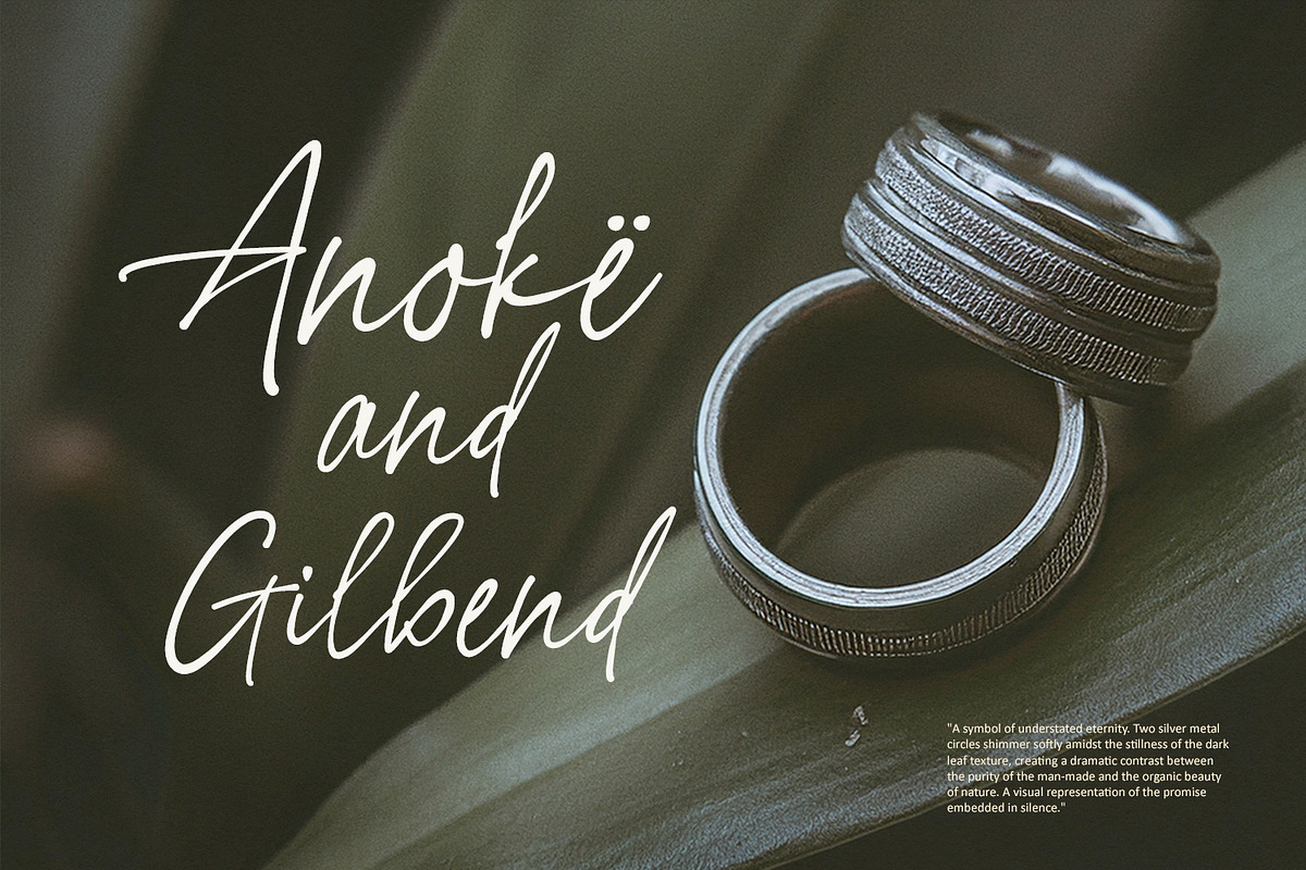 Streper Chane Signature Script Font, a Script Font by Maulana Creative (Photo 3 of 7)