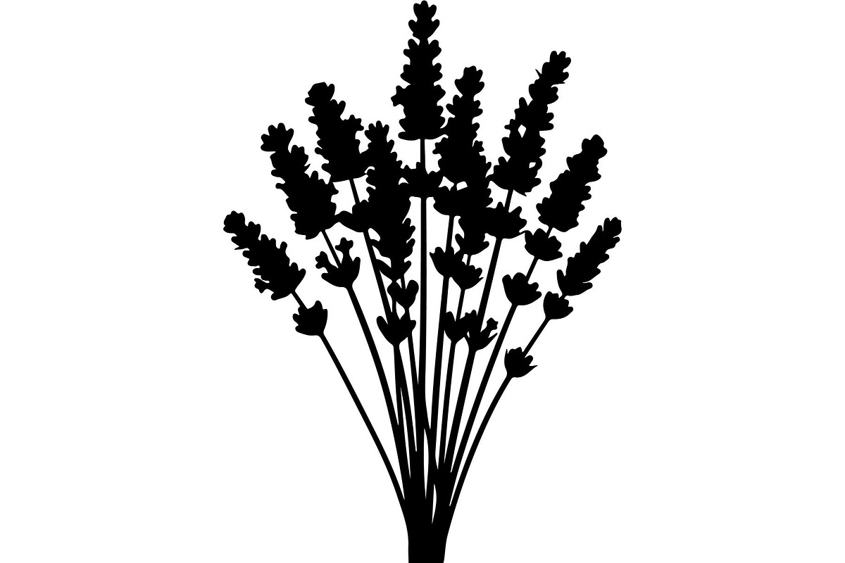 Lavender Flower Silhouette, an Object Graphic by Designer_Momina (Photo 10 of 20)