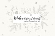Winter collection botanical elements, a Decorative Illustration by itiir (Thumbnail 1 of 2)