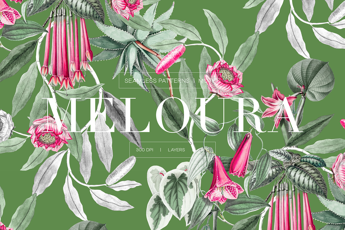 Meloura Luxury Patterns And Elements, a Pattern Graphic by LEAFure (Photo 1 of 9)